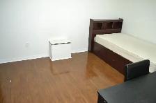 Beautiful Furnished Basement Room for Rent – UTSC Area - Photo 4