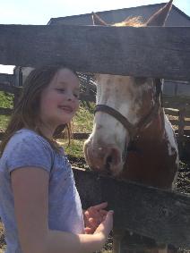 ANIMAL, FARM & BARN CARE SERVICES — GTA AND SURROUNDING AREAS - Photo 3