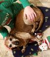 ANIMAL, FARM & BARN CARE SERVICES — GTA AND SURROUNDING AREAS - Photo 5