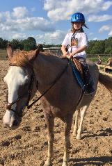 ANIMAL, FARM & BARN CARE SERVICES — GTA AND SURROUNDING AREAS - Photo 6