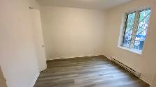 Beau 5 1/2 rénové avec jardin et stockage (chambre double) DISPO