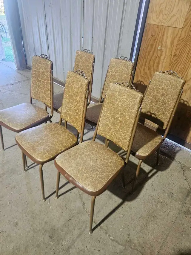 6 Chairs