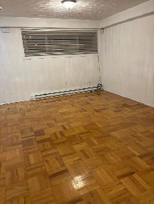 Beautiful 3 1/2 renovated, bright semi-basement