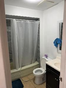1 Bedroom Basement from sep 1 - Photo 2
