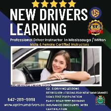 Wheels in Motion, Skills in Action" Driving Lessons