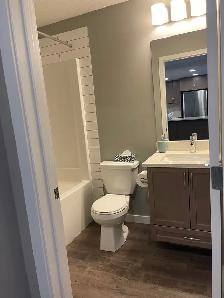 Room Rental - Photo 4