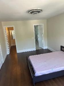 Major Mac & Leslie one large bedroom for rent - Photo 2