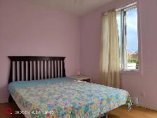 3-1/2 Subway station/ Metro Assomption/Cadillac, 1050 $/ M