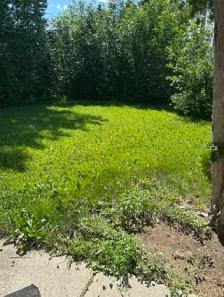 bedroom for rent by college - Photo 5