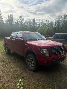 2011 Ford F150 FX4 - Photo 2