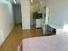 Downtown Near McGill All Included Furnitured Studio for Rent !! - Photo 8