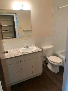Spacious 1-Bedroom Nutana Apartment for Rent - Photo 2