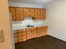 Spacious 1-Bedroom Nutana Apartment for Rent - Photo 3
