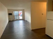 Spacious 1-Bedroom Nutana Apartment for Rent - Photo 5