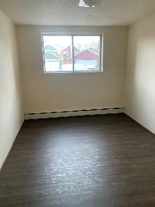 Spacious 1-Bedroom Nutana Apartment for Rent - Photo 6