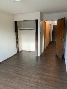 Spacious 1-Bedroom Nutana Apartment for Rent - Photo 7