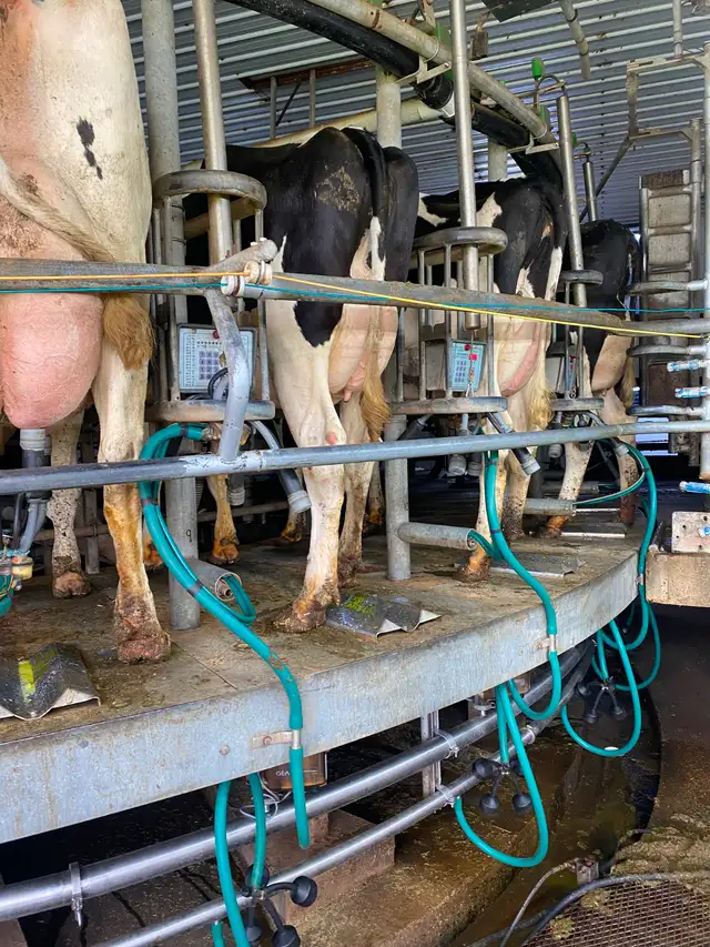 Dairy Farm Worker