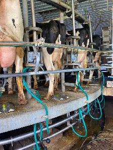 Dairy Farm Worker
