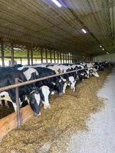Dairy Farm Worker - Photo 2