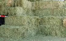 Small Square Hay Bales