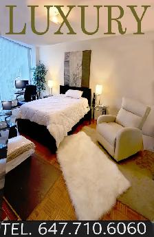 North York A-1 room  @ 401 & Don Mills Rd. Bus stop at the place - Photo 2