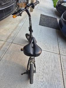 Electric Bike for sale - Photo 3