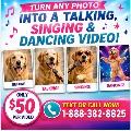 " Make Your PHOTO TALK, SING & DANCE! (AI) Video $50 - Photo 3