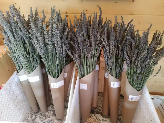Paradise Valley Lavender Assorted Products