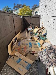 landscape and junk removal - Photo 3