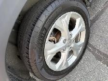 2024 Honda HR-V LX-B AWD CVT for sale - Photo 19