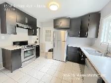 CUTE 3 BED 1 BATH IN A GREAT LOCATION $1,800 HYDRO - Photo 5