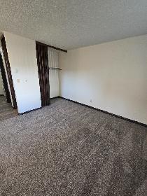 Ground Floor Bachelor Suite on theSouth Hill - Photo 2