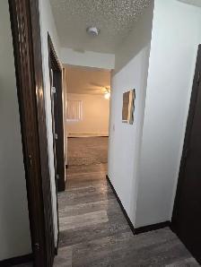 Ground Floor Bachelor Suite on theSouth Hill - Photo 4