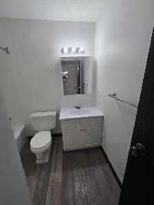Ground Floor Bachelor Suite on theSouth Hill - Photo 5