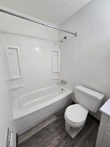 Ground Floor Bachelor Suite on theSouth Hill - Photo 6