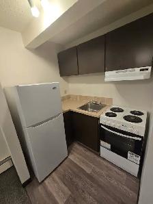 Ground Floor Bachelor Suite on theSouth Hill - Photo 7