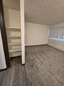 Ground Floor Bachelor Suite on theSouth Hill - Photo 9