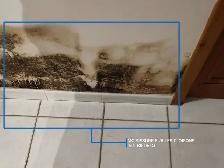 Enlèvement Vermiculite, Moisissure et Nettoyage de Grenier - Photo 5