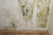 Enlèvement Vermiculite, Moisissure et Nettoyage de Grenier - Photo 7