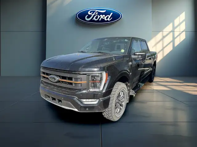 2023 Ford F-150 Tremor 4WD SuperCrew 5.5' Box for sale