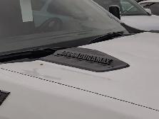 2025 Chevrolet Silverado 3500HD LT Trail Boss 6.6L Duramax Z71 - Photo 17