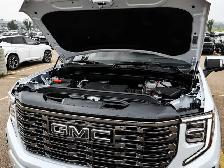2026 GMC Sierra 1500 Denali Ultimate - Photo 10
