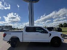 2025 Ford F-150 XLT SPORT / 3.5L ECOBOOST! / BLK PKG! / TOW PKG! - Photo 3