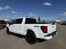 2025 Ford F-150 XLT SPORT / 3.5L ECOBOOST! / BLK PKG! / TOW PKG! - Photo 6