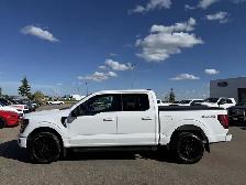 2025 Ford F-150 XLT SPORT / 3.5L ECOBOOST! / BLK PKG! / TOW PKG! - Photo 7