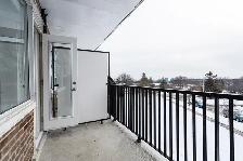 renovated two bedroom, Leslie and Lawrence - ID 4460 - Photo 3