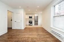 Renovated one bedroom, Yonge and Wellesley - ID 3452 - Photo 5