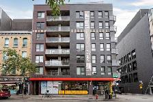 Dominik Apartments - Bachelor available at 1255 rue Saint-Domini - Photo 5