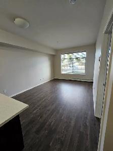 Vantage at Callaghan - one Bedroom Den - Kudos - Photo 9