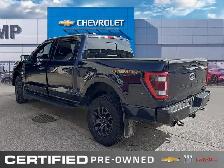 2023 Ford F-150 Tremor | 4X4 | Heated | Cooled Leather - Photo 4
